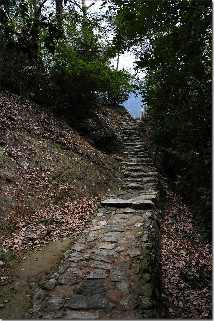 雁荡-厦门行 532.jpg