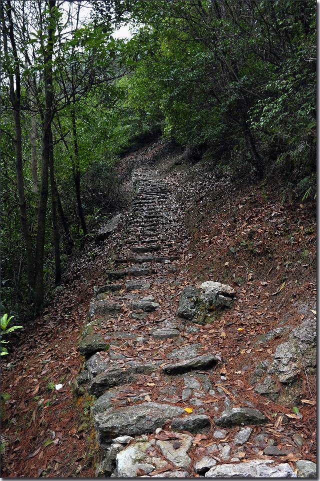 雁荡-厦门行 562.jpg