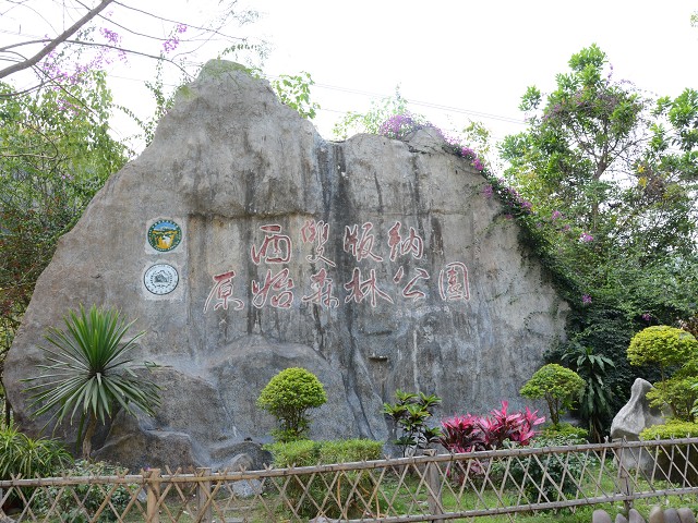 PhotoCap_192.jpg