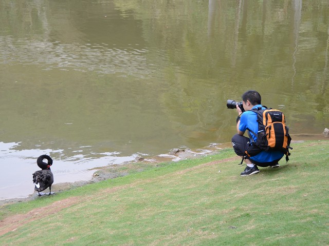 PhotoCap_010.jpg