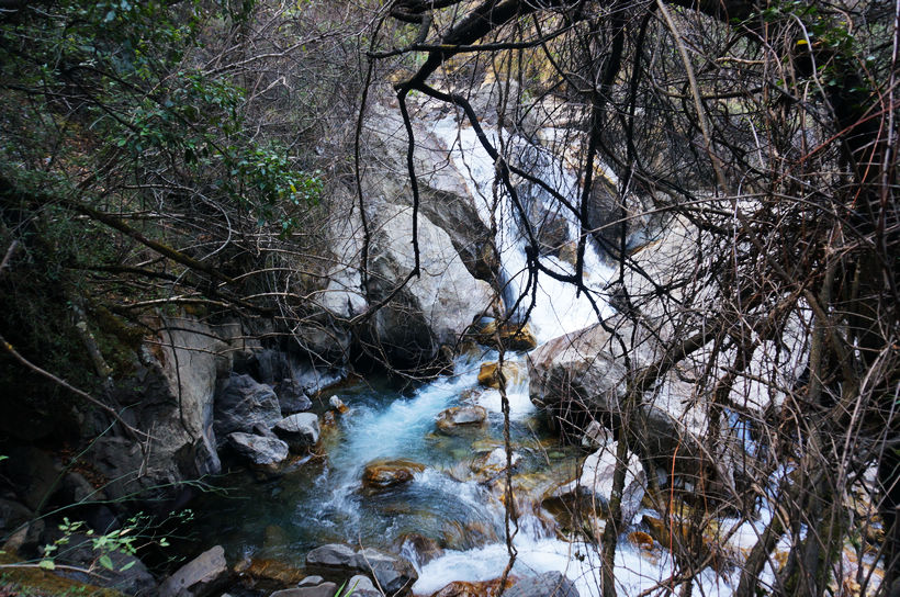 nEO_IMG_DSC00916.jpg