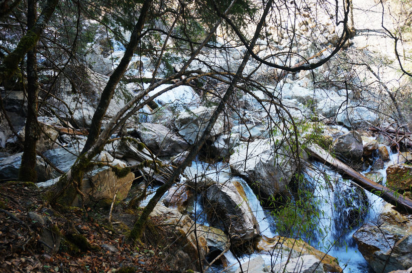 nEO_IMG_DSC00908.jpg