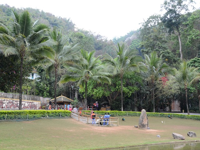 PhotoCap_019.jpg
