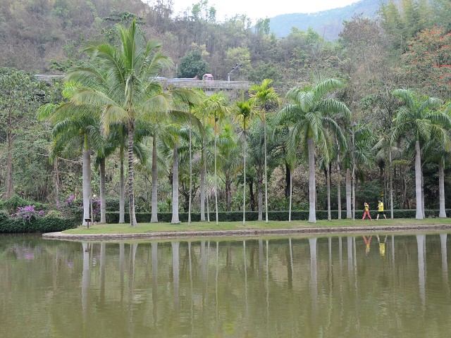 PhotoCap_024.jpg