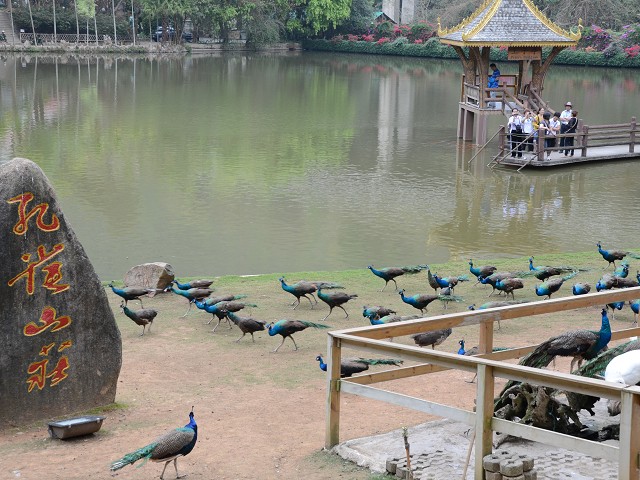 PhotoCap_075.jpg