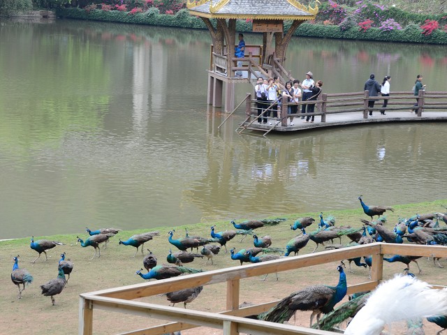 PhotoCap_074.jpg