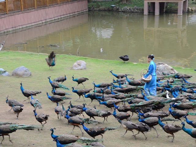 PhotoCap_080.jpg