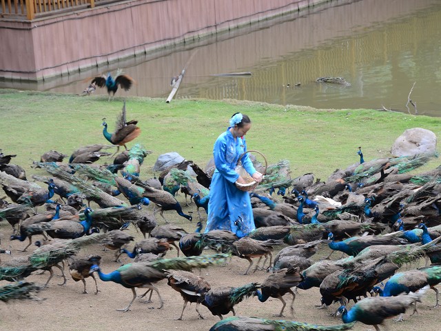 PhotoCap_081.jpg