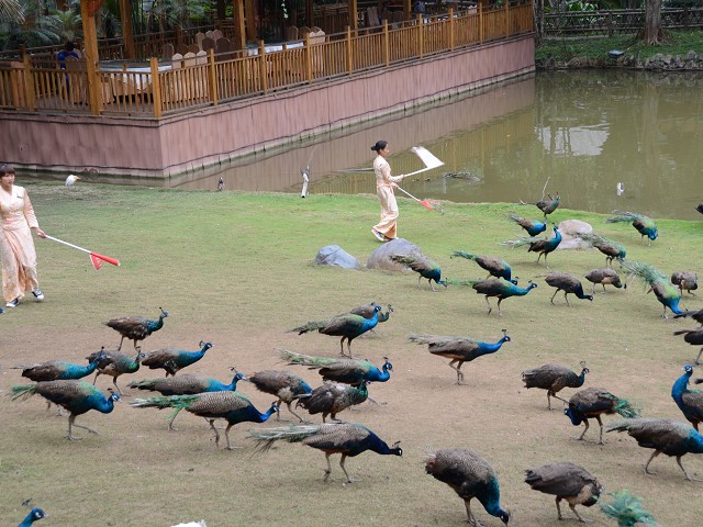 PhotoCap_090.jpg