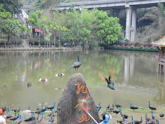 PhotoCap_093.jpg