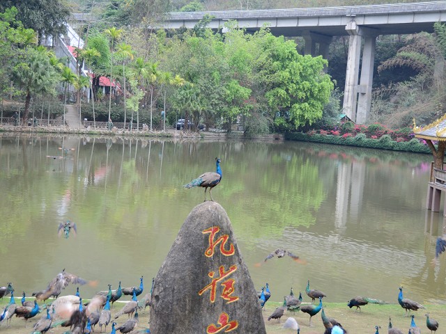 PhotoCap_092.jpg