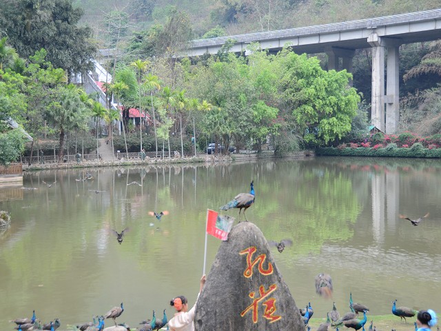 PhotoCap_095.jpg