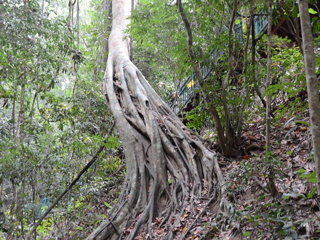 PhotoCap_135.jpg