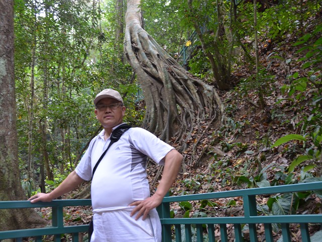 PhotoCap_144.jpg