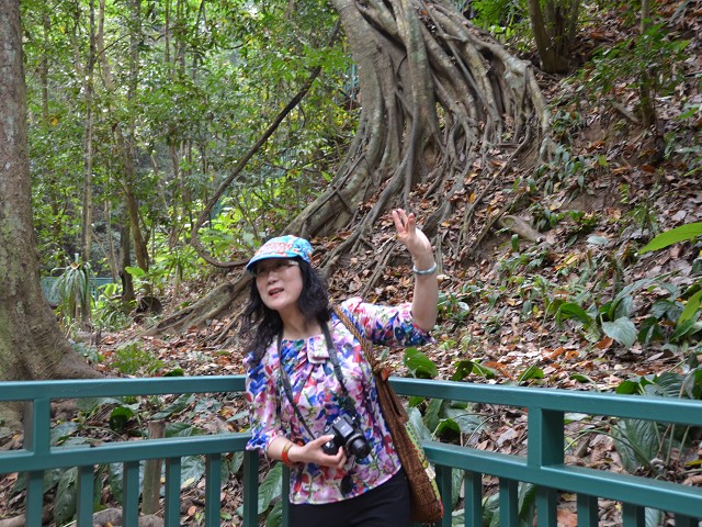 PhotoCap_147.jpg