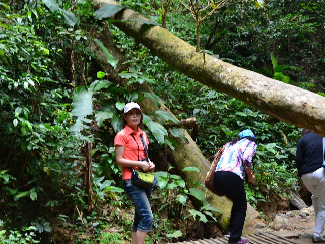 PhotoCap_150.jpg