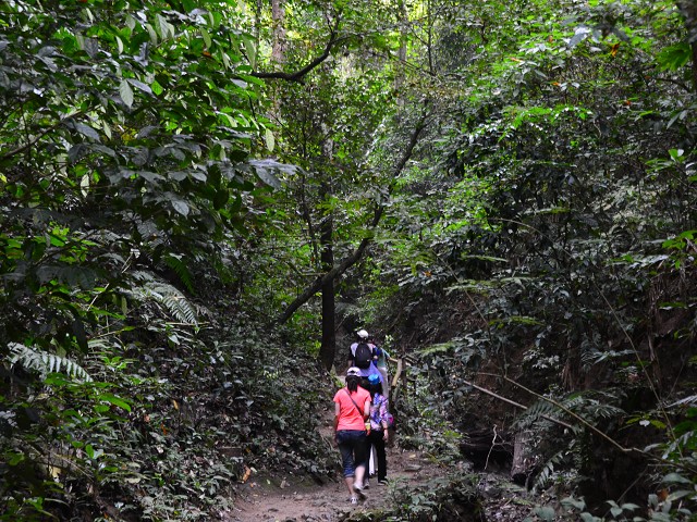 PhotoCap_151.jpg
