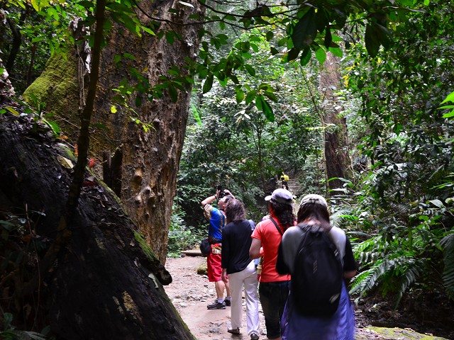 PhotoCap_153.jpg