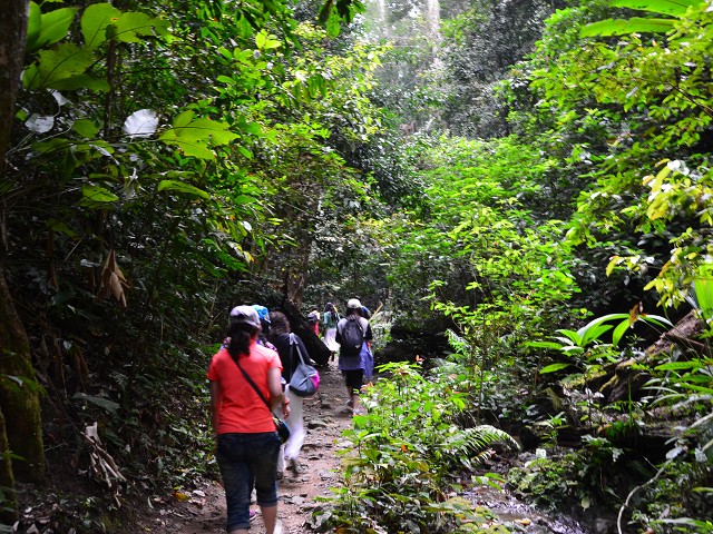 PhotoCap_152.jpg
