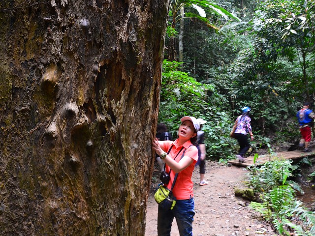 PhotoCap_154.jpg
