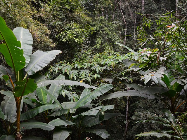 PhotoCap_162.jpg