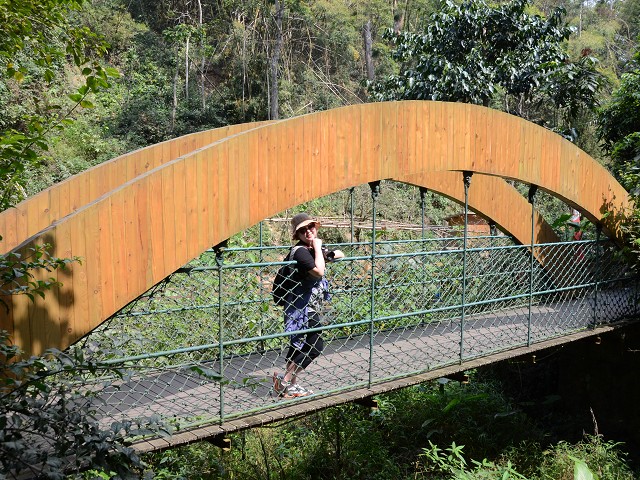 PhotoCap_174.jpg