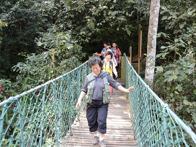 PhotoCap_178.jpg