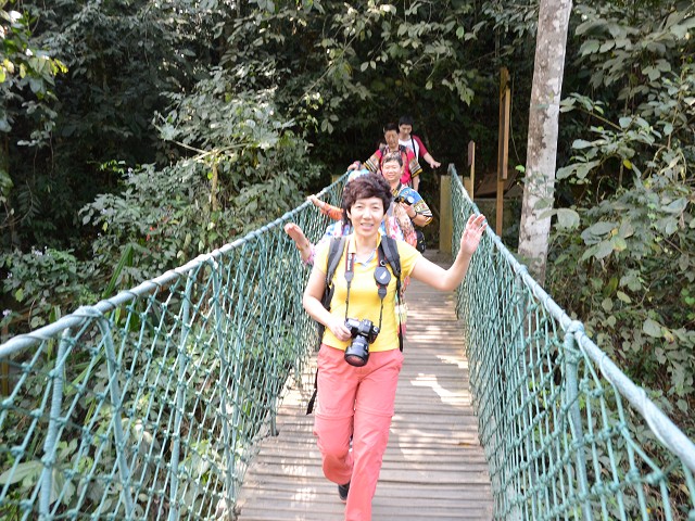 PhotoCap_179.jpg