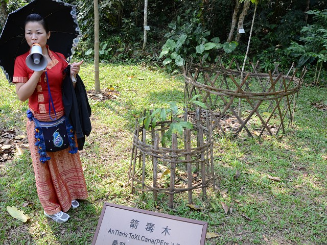 PhotoCap_187.jpg