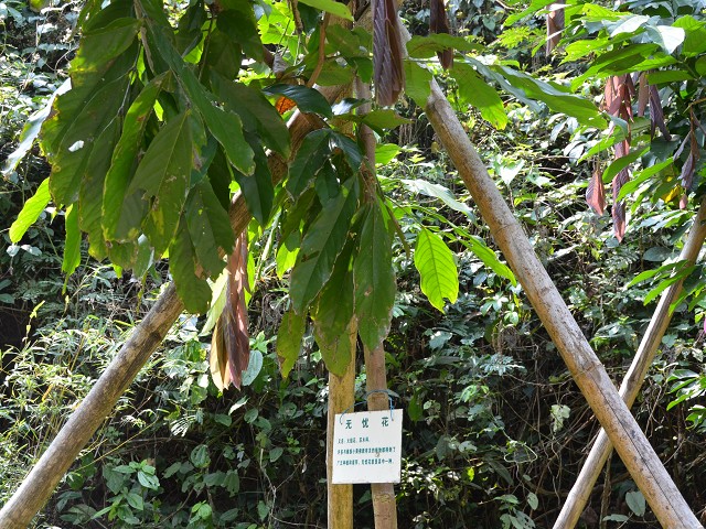 PhotoCap_186.jpg