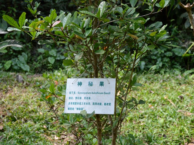 PhotoCap_189.jpg