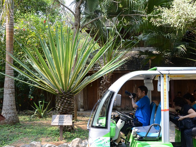 PhotoCap_191.jpg