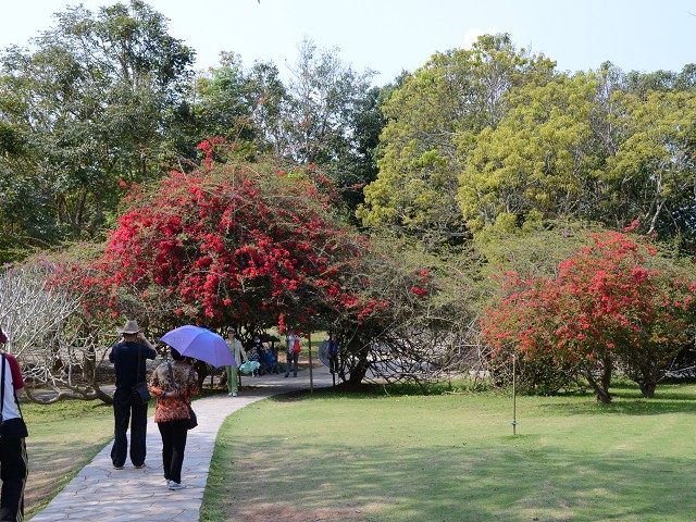 PhotoCap_217.jpg