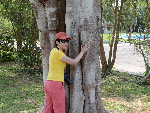 PhotoCap_223.jpg