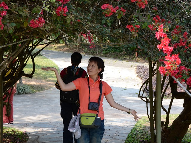 PhotoCap_234.jpg