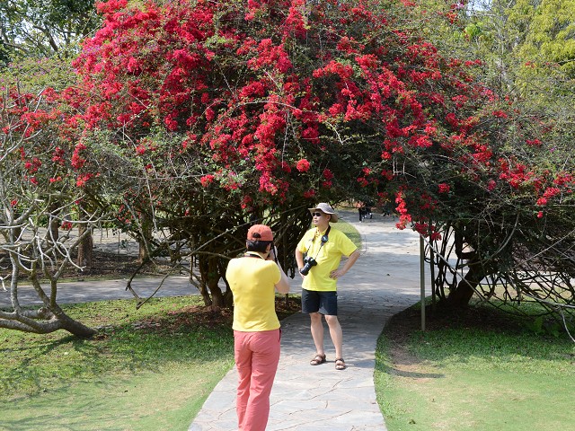 PhotoCap_232.jpg