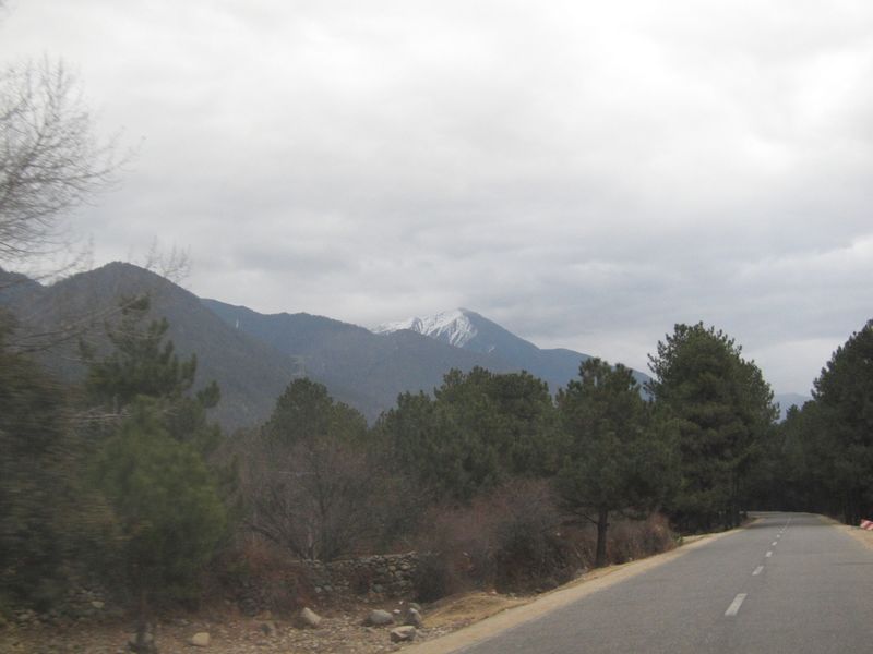 DPP_0203.jpg