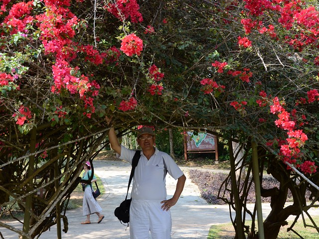 PhotoCap_255.jpg