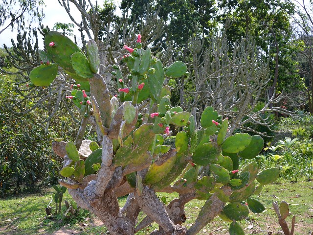 PhotoCap_211.jpg