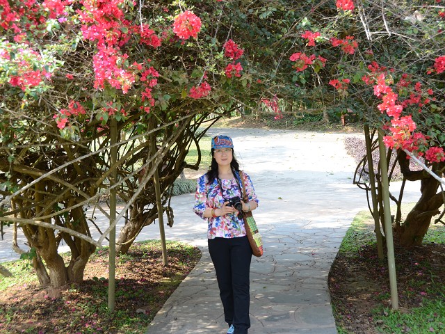 PhotoCap_247.jpg