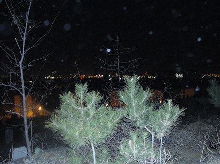 西炮台的青翠--夜景