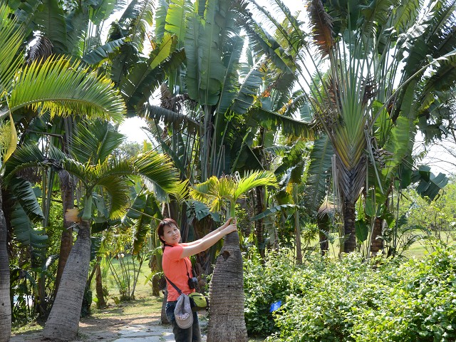 PhotoCap_265.jpg