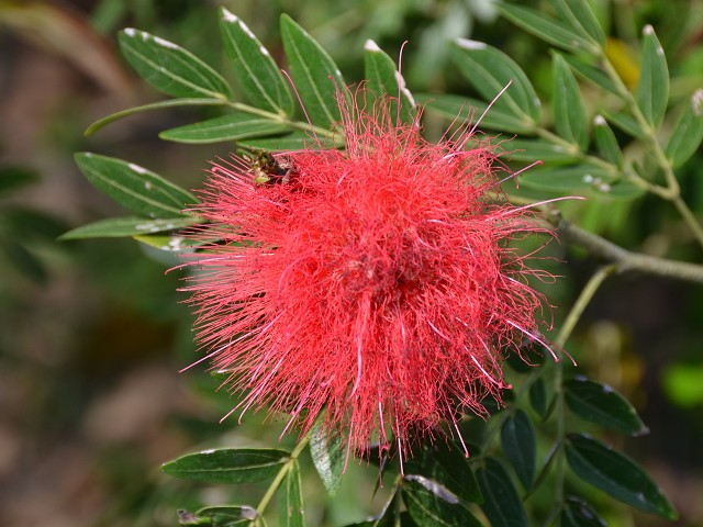 PhotoCap_316.jpg
