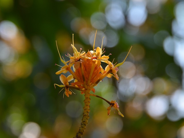 PhotoCap_296.jpg