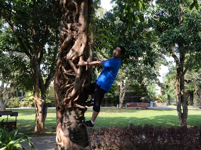 PhotoCap_327.jpg
