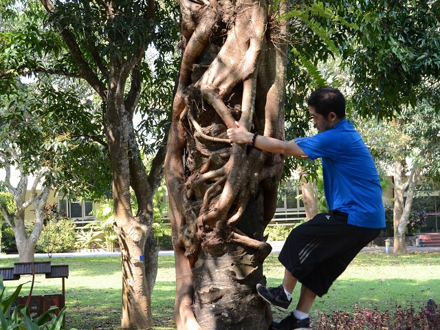 PhotoCap_325.jpg