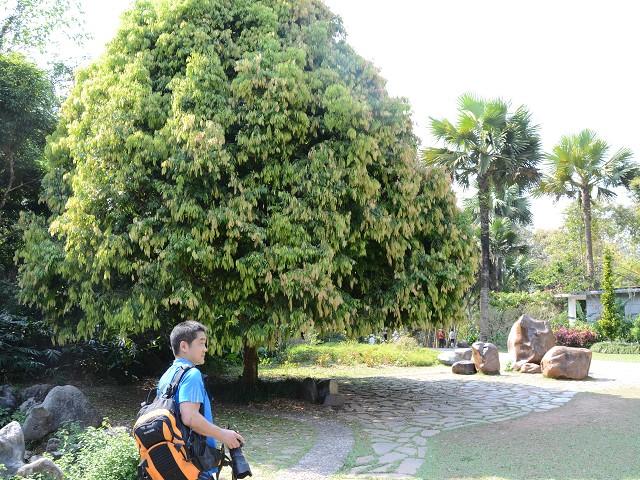 PhotoCap_341.jpg