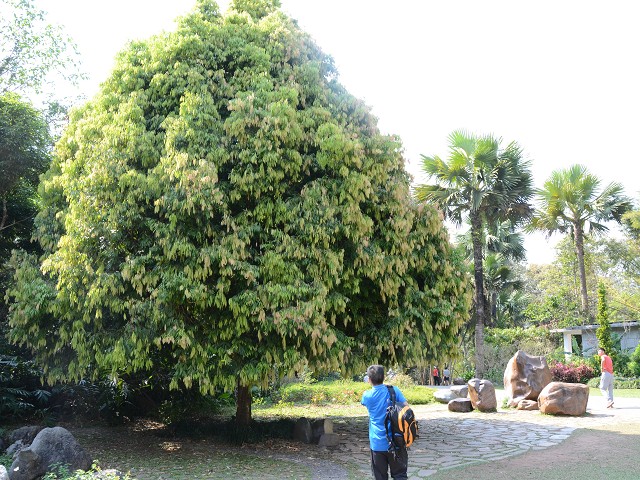 PhotoCap_342.jpg