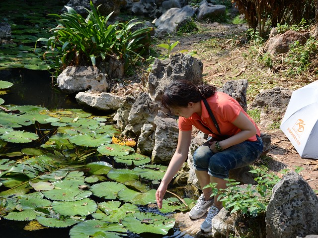 PhotoCap_340.jpg