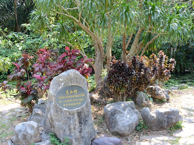 PhotoCap_343.jpg